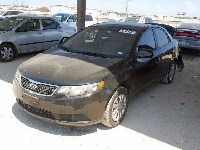 KNAFU4A26C5622371 - 2012 KIA FORTE EX BLACK photo 2