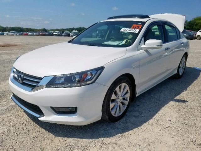 1HGCR2F84EA088713 - 2014 HONDA ACCORD EXL WHITE photo 2