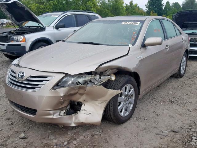 JTNBB46K073038321 - 2007 TOYOTA CAMRY HYBR TAN photo 2