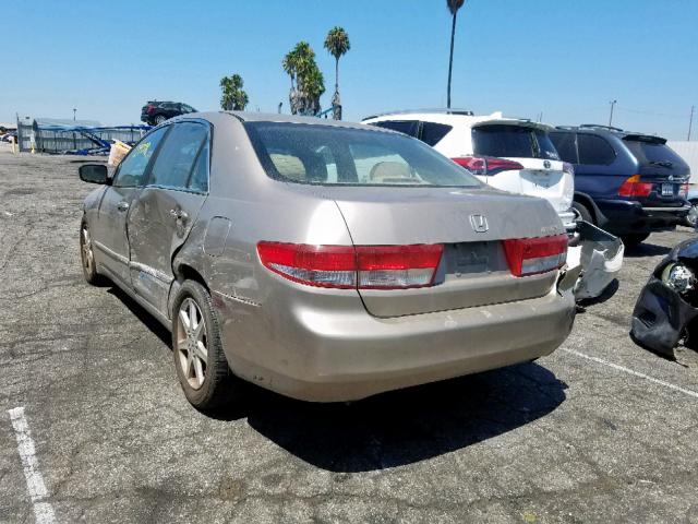 1HGCM66553A061612 - 2003 HONDA ACCORD EX TAN photo 3