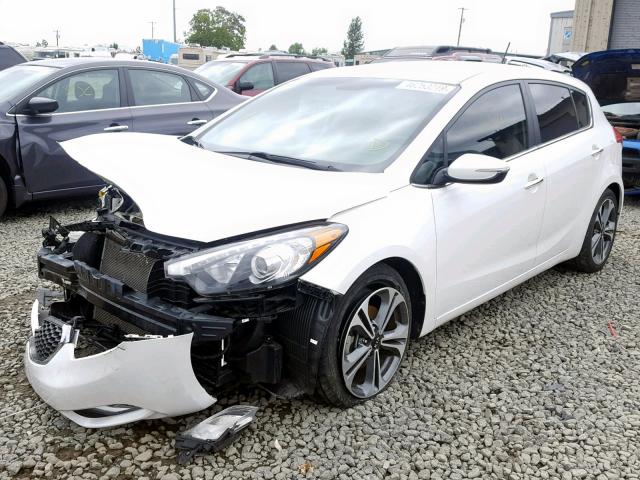 KNAFX5A88G5522912 - 2016 KIA FORTE EX WHITE photo 2