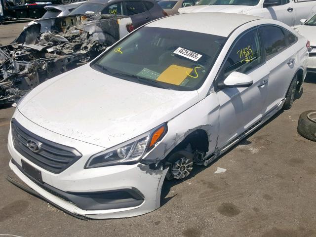 5NPE34AF9FH107227 - 2015 HYUNDAI SONATA SPO WHITE photo 2