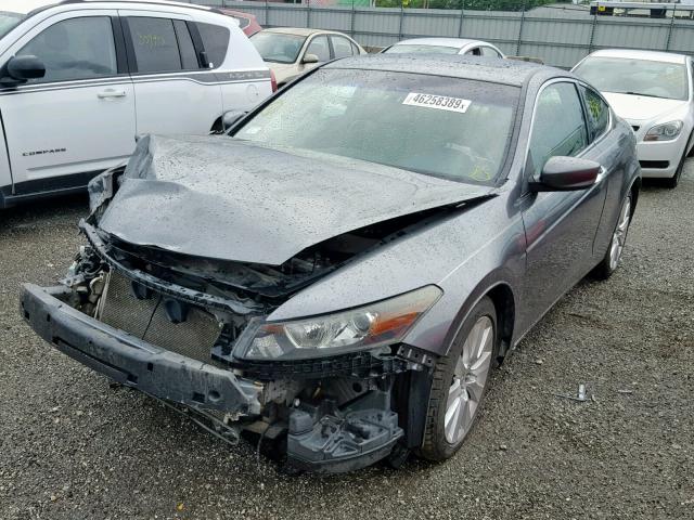 1HGCS22858A004462 - 2008 HONDA ACCORD EXL GRAY photo 2