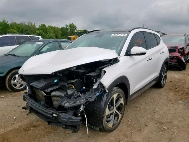 KM8J33A29HU315621 - 2017 HYUNDAI TUCSON LIM WHITE photo 2