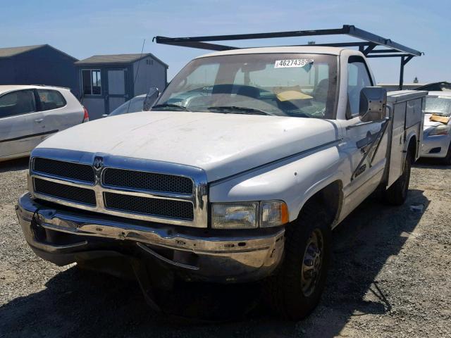 3B6KC2665XM542181 - 1999 DODGE RAM 2500 WHITE photo 2