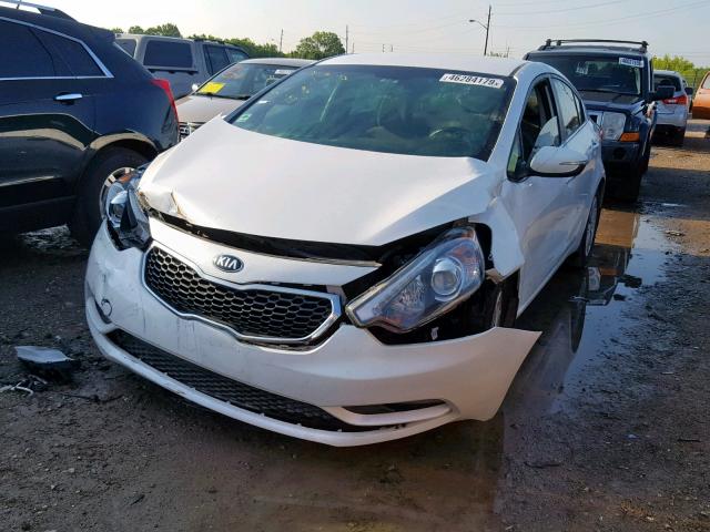 KNAFX4A82E5124151 - 2014 KIA FORTE EX WHITE photo 2