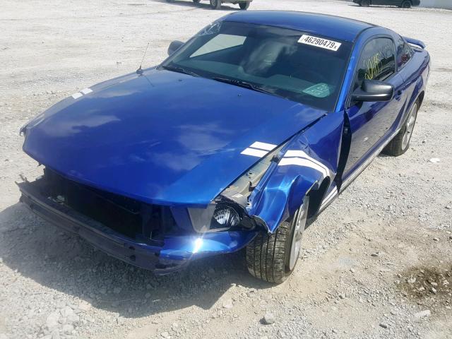 1ZVFT80N255117324 - 2005 FORD MUSTANG BLUE photo 2