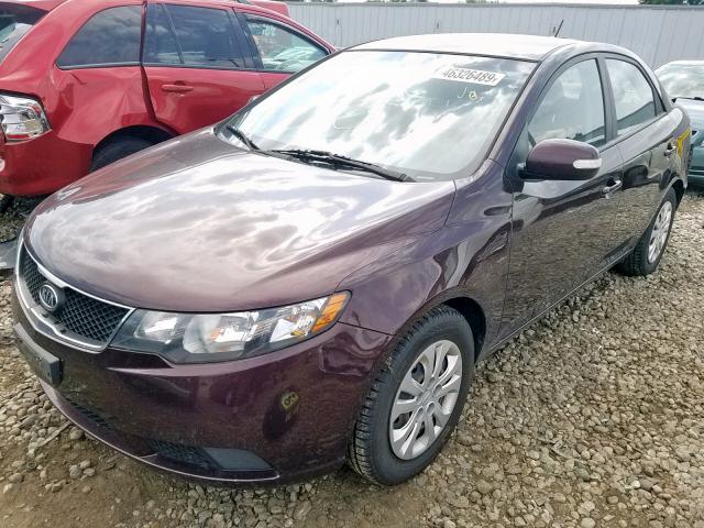 KNAFU4A27A5097642 - 2010 KIA FORTE EX BURGUNDY photo 2