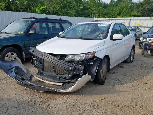 KNAFU4A27C5500666 - 2012 KIA FORTE EX WHITE photo 2