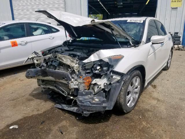 1HGCP36818A080763 - 2008 HONDA ACCORD EXL WHITE photo 2