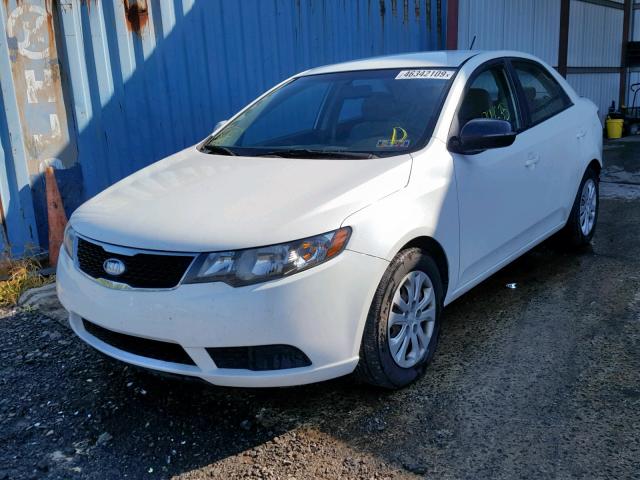 KNAFU4A28B5325343 - 2011 KIA FORTE EX WHITE photo 2