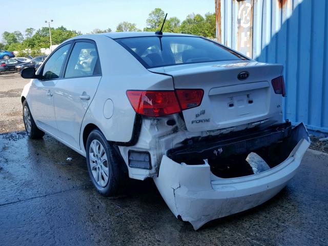 KNAFU4A28B5325343 - 2011 KIA FORTE EX WHITE photo 3