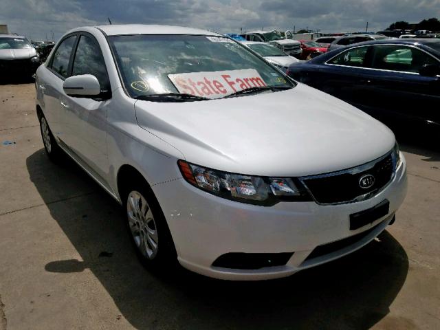 KNAFU4A23D5648444 - 2013 KIA FORTE EX WHITE photo 1