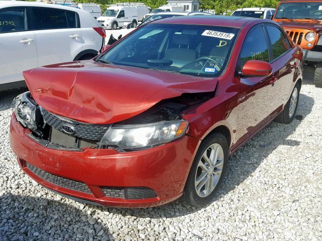 KNAFU4A26C5499543 - 2012 KIA FORTE EX BURGUNDY photo 2