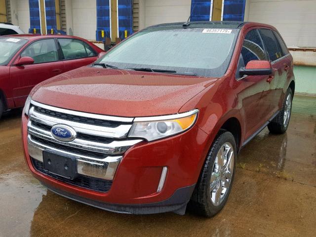 2FMDK3JC0EBB24793 - 2014 FORD EDGE SEL MAROON photo 2