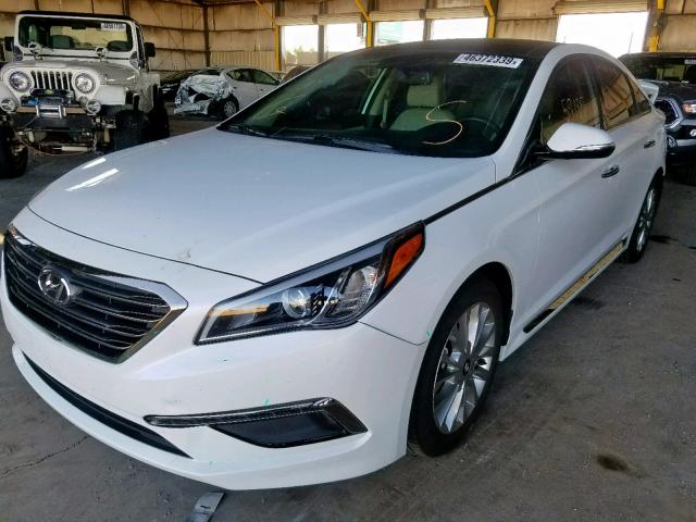 5NPE34AF8FH013050 - 2015 HYUNDAI SONATA SPO WHITE photo 2