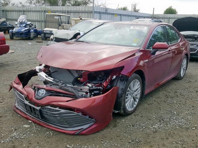 4T1B21HK7KU511940 - 2019 TOYOTA CAMRY HYBR RED photo 2