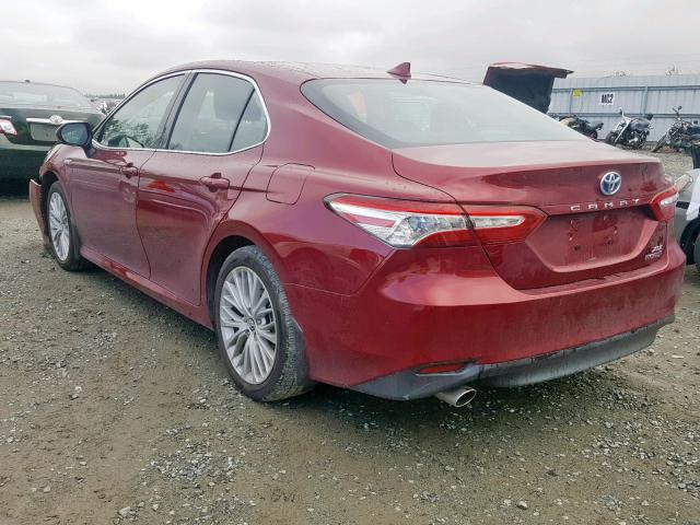 4T1B21HK7KU511940 - 2019 TOYOTA CAMRY HYBR RED photo 3