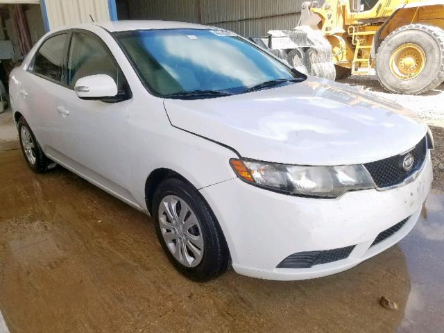 KNAFU4A26A5110199 - 2010 KIA FORTE EX WHITE photo 1