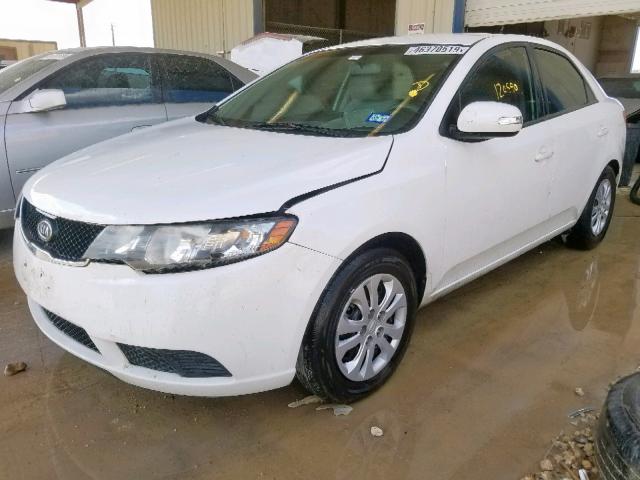 KNAFU4A26A5110199 - 2010 KIA FORTE EX WHITE photo 2