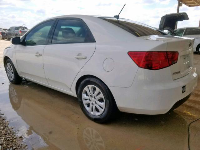 KNAFU4A26A5110199 - 2010 KIA FORTE EX WHITE photo 3