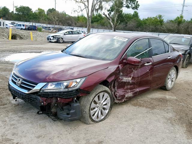 1HGCR2F84DA102592 - 2013 HONDA ACCORD EXL BURGUNDY photo 2