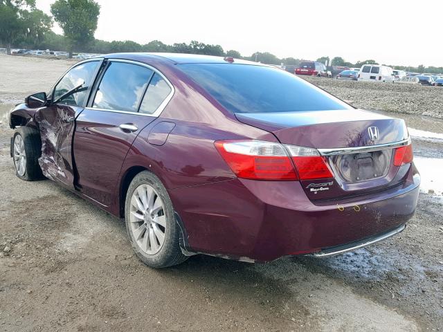 1HGCR2F84DA102592 - 2013 HONDA ACCORD EXL BURGUNDY photo 3