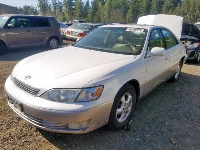 JT8BF28G6W0142669 - 1998 LEXUS ES 300 TWO TONE photo 2