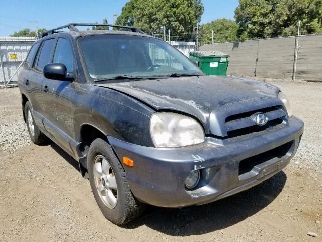 KM8SC13D55U888485 - 2005 HYUNDAI SANTA FE G BLACK photo 1