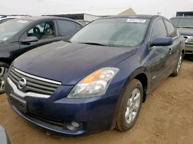 1N4CL21E39C187651 - 2009 NISSAN ALTIMA HYB BLUE photo 2