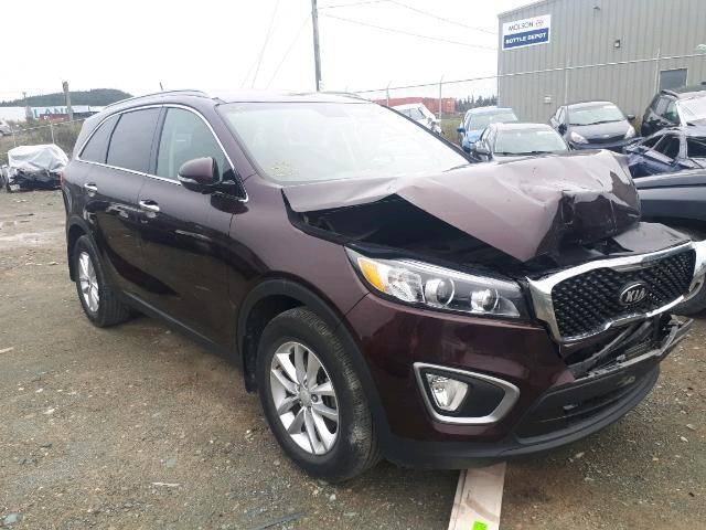 5XYPG4A33GG058411 - 2016 KIA SORENTO LX RED photo 1