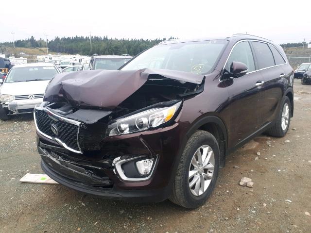 5XYPG4A33GG058411 - 2016 KIA SORENTO LX RED photo 2