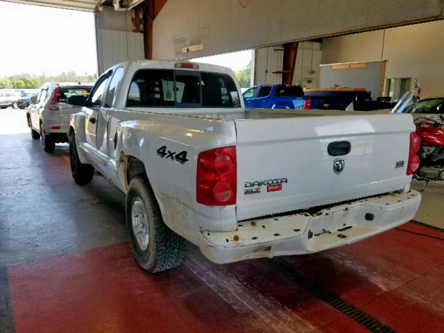 1D7HW42N85S199592 - 2005 DODGE DAKOTA SLT WHITE photo 3