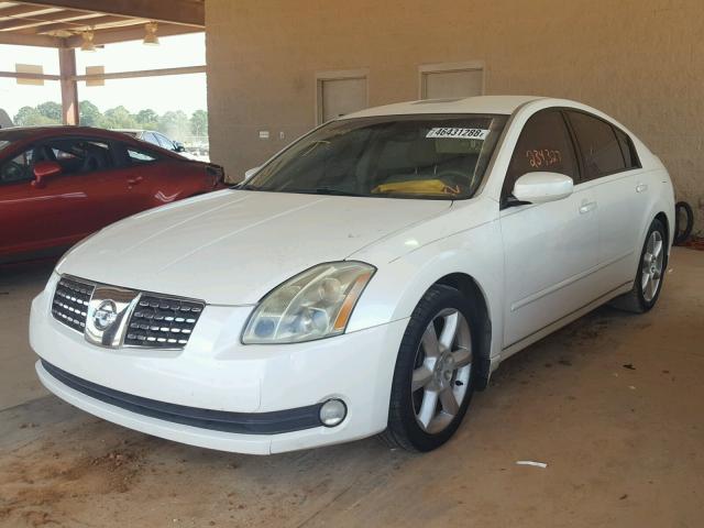 1N4BA41E94C913390 - 2004 NISSAN MAXIMA SE WHITE photo 2