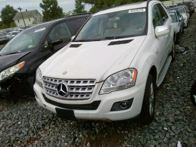 4JGBB2FB4AA612796 - 2010 MERCEDES-BENZ ML 350 BLU WHITE photo 2