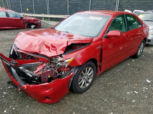 4T1BB3EK3BU141019 - 2011 TOYOTA CAMRY HYBR RED photo 2