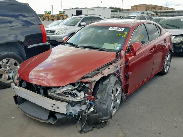 JTHBF5C29C5162622 - 2012 LEXUS IS 250 RED photo 2