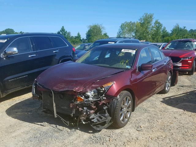 1HGCP36848A031332 - 2008 HONDA ACCORD EXL PURPLE photo 2