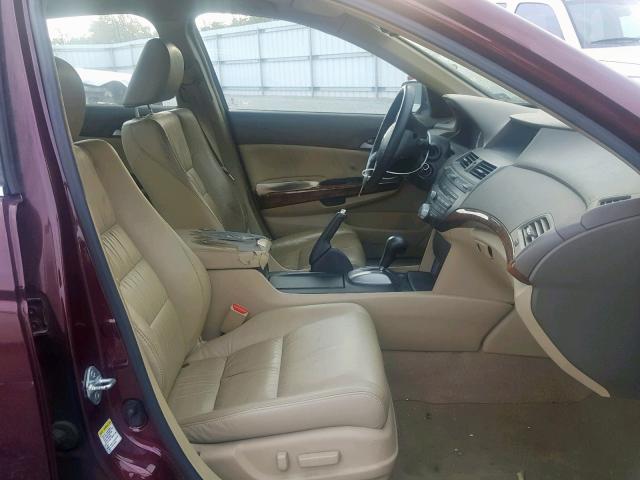 1HGCP36848A031332 - 2008 HONDA ACCORD EXL PURPLE photo 5