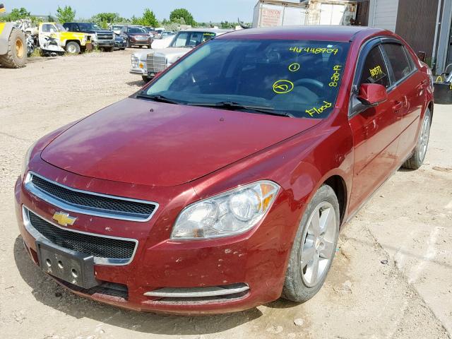 1G1ZC5E10BF318707 - 2011 CHEVROLET MALIBU 1LT MAROON photo 2