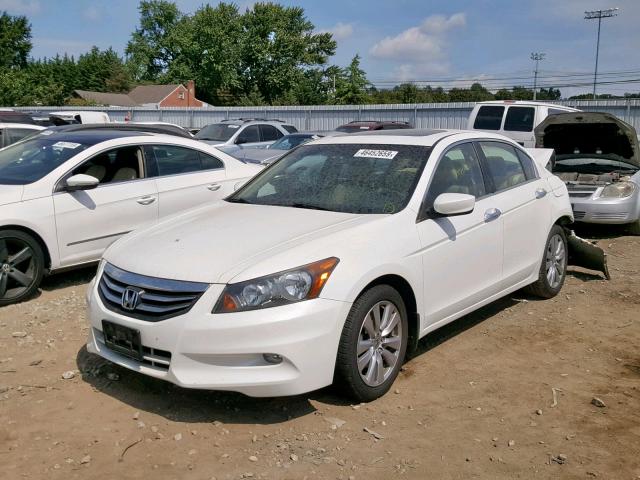 1HGCP3F81CA005778 - 2012 HONDA ACCORD EXL WHITE photo 2