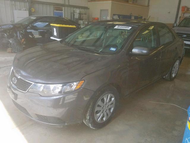 KNAFU4A24D5731123 - 2013 KIA FORTE EX GRAY photo 2