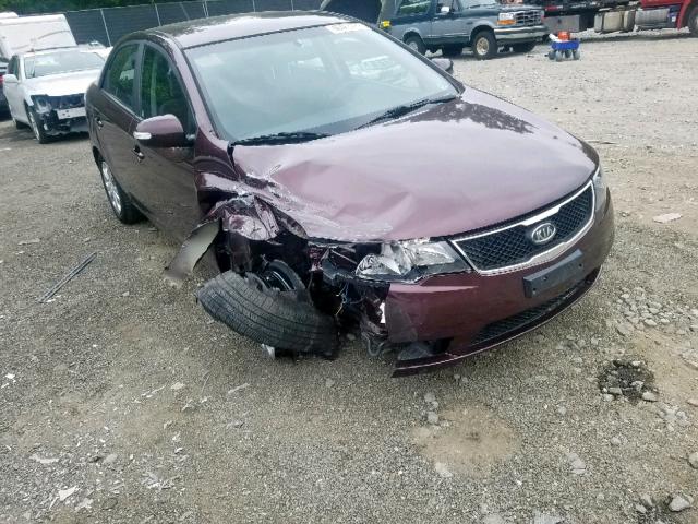 KNAFU4A28A5849784 - 2010 KIA FORTE EX BURGUNDY photo 1