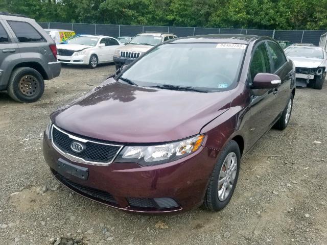 KNAFU4A28A5849784 - 2010 KIA FORTE EX BURGUNDY photo 2