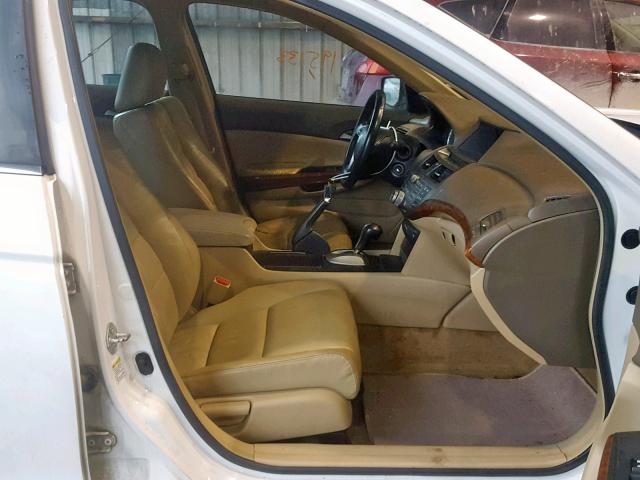 1HGCP26858A123429 - 2008 HONDA ACCORD EXL WHITE photo 5