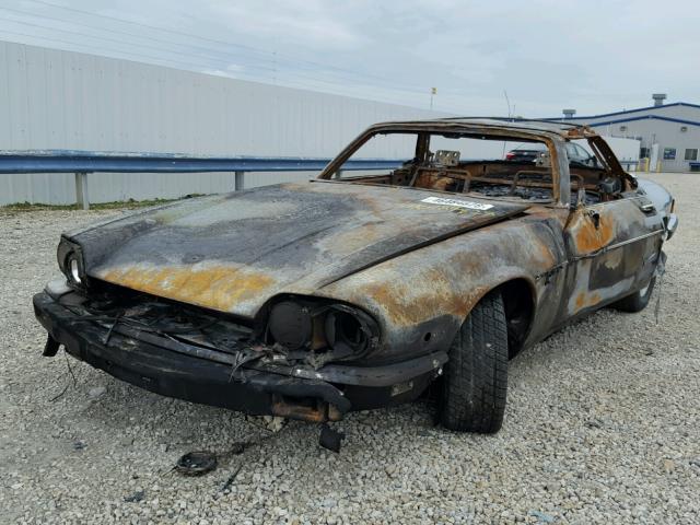 SAJTW4840MC177941 - 1991 JAGUAR XJS CLASSI BURN photo 2