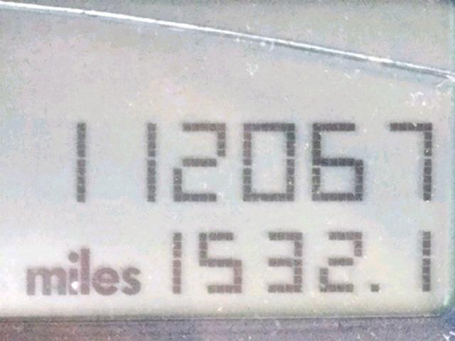 3VWCD31Y54M345239 - 2004 VOLKSWAGEN NEW BEETLE 黄色 照片 8