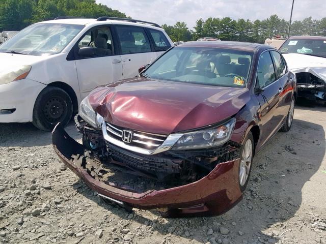 1HGCR3F85DA036687 - 2013 HONDA ACCORD EXL BURGUNDY photo 2