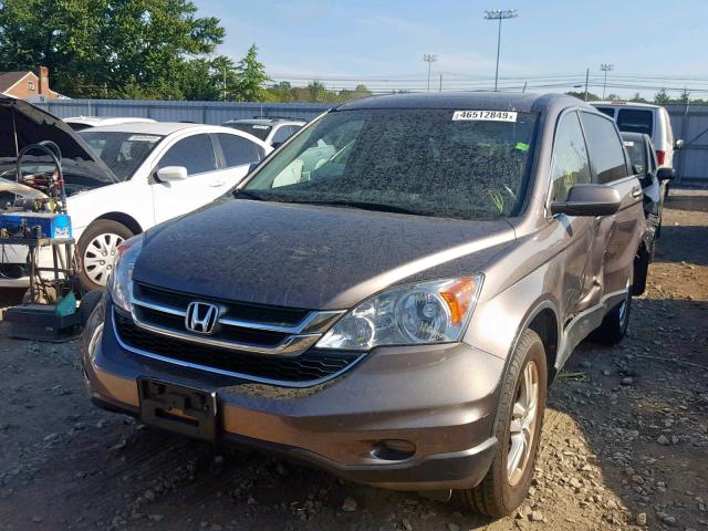 5J6RE4H73BL019204 - 2011 HONDA CR-V EXL BROWN photo 2