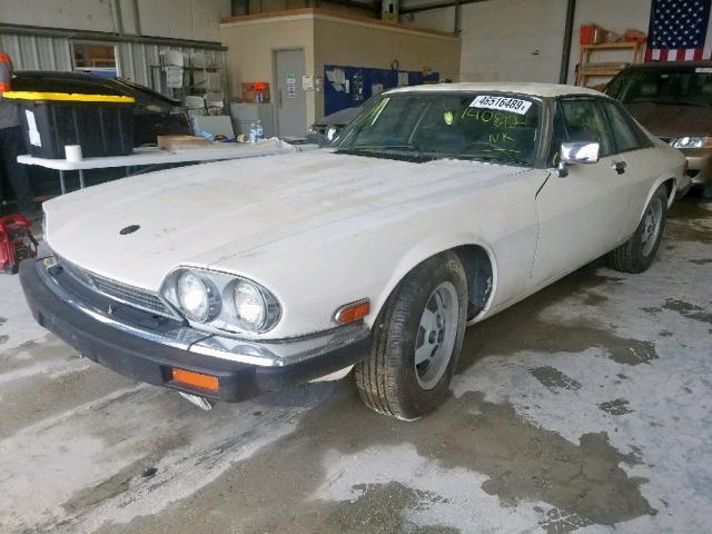 SAJNV5846JC140812 - 1988 JAGUAR XJS WHITE photo 2